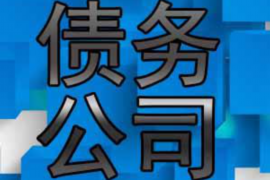 北海北海的要账公司在催收过程中的策略和技巧有哪些？